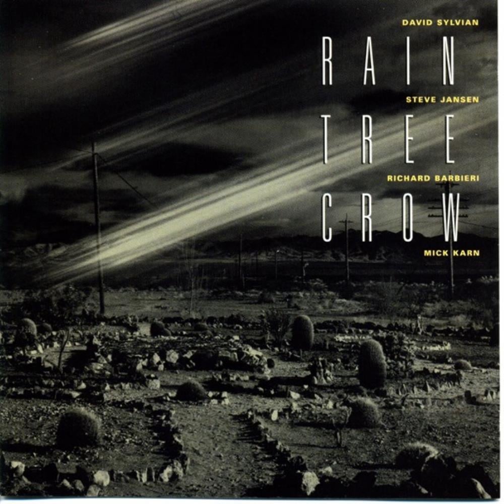 Rain Tree Crow Rain Tree Crow album cover