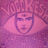 The Vocokesh Still Standing In The Same Garden album cover