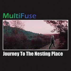 Multifuse Journey To The Nesting Place album cover