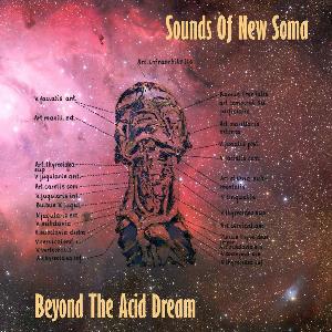 Sounds Of New Soma Beyond The Acid Dream album cover