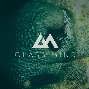 Glass Mind Detritus album cover