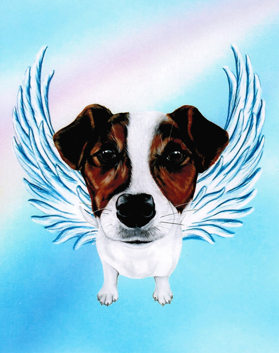 SILLY PUPPY forum's avatar