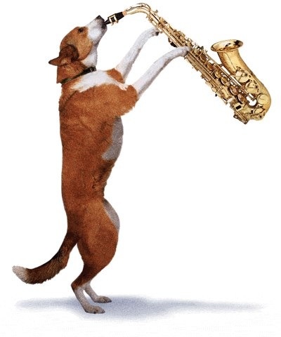 SILLY PUPPY forum's avatar