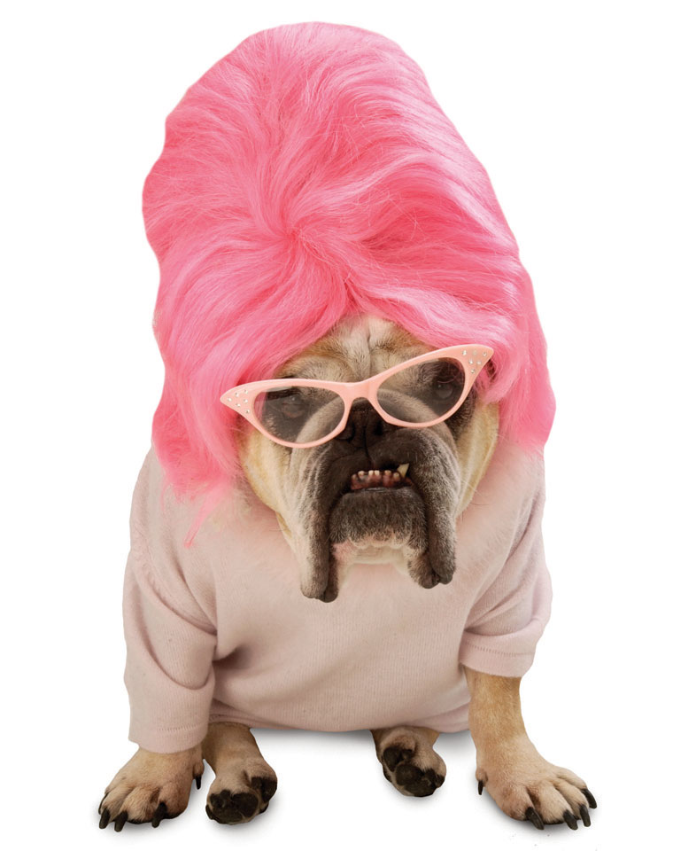 SILLY PUPPY forum's avatar