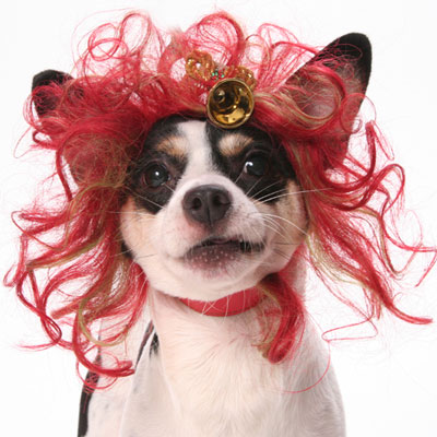 SILLY PUPPY forum's avatar