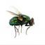 TERRA AUSTRALIS forum's avatar