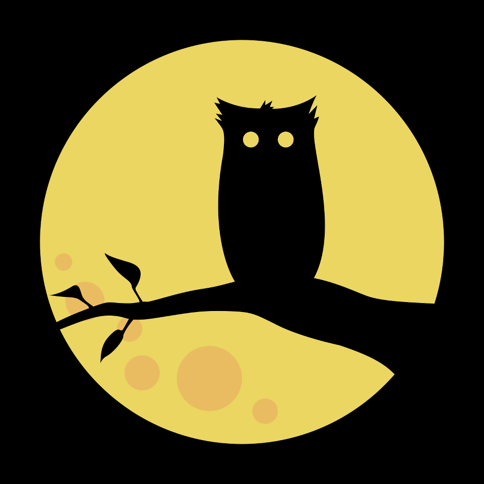 NIGHT OWL forum's avatar