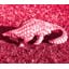 PINKPANGOLIN forum's avatar