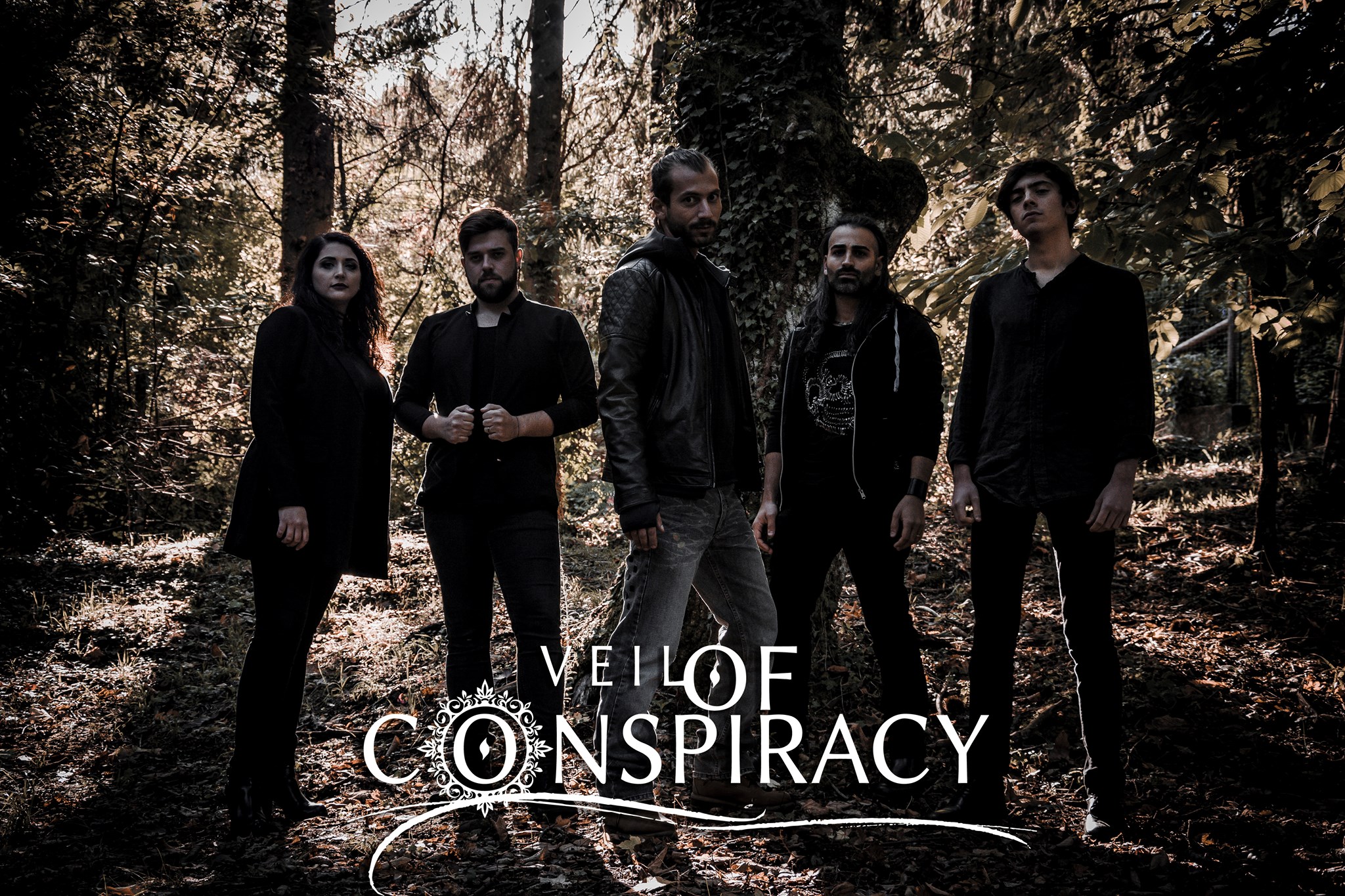 Veil Of Conspiracy picture