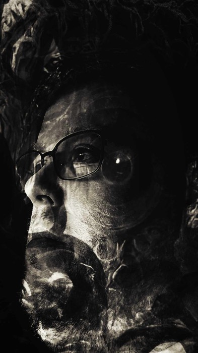 Venomous Echoes picture