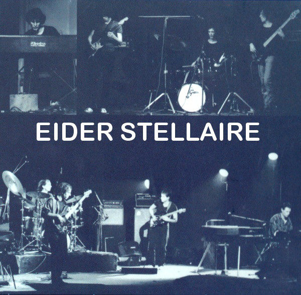 Eider Stellaire picture Eider Stellaire picture