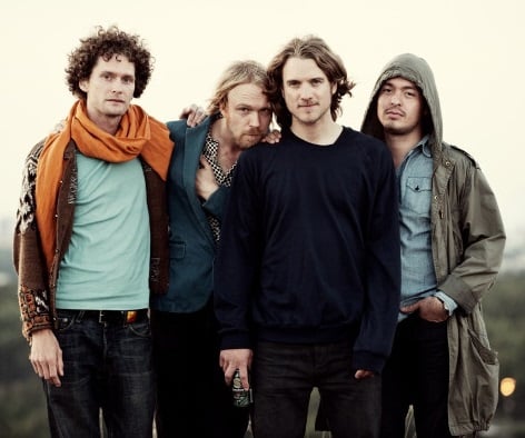 Dungen picture