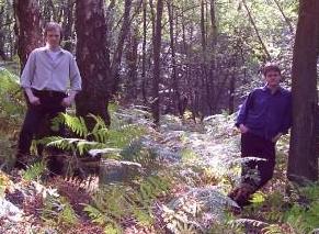 Afforested picture Afforested picture