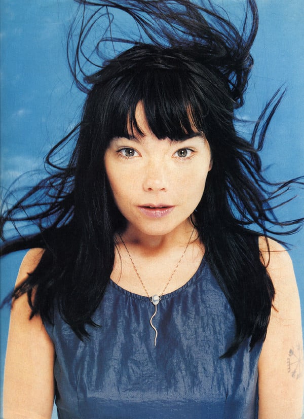 Björk picture
