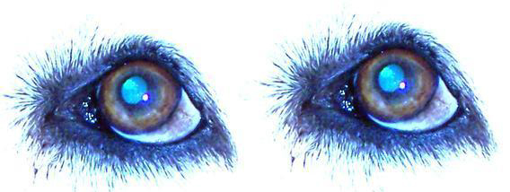 A Headfull Of Monsters picture A Headfull Of Monsters picture