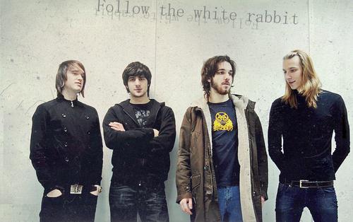 Follow the White Rabbit picture Follow the White Rabbit picture
