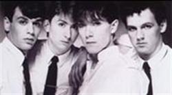 Talk Talk picture Talk Talk picture