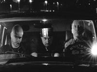 Ulver picture Ulver picture