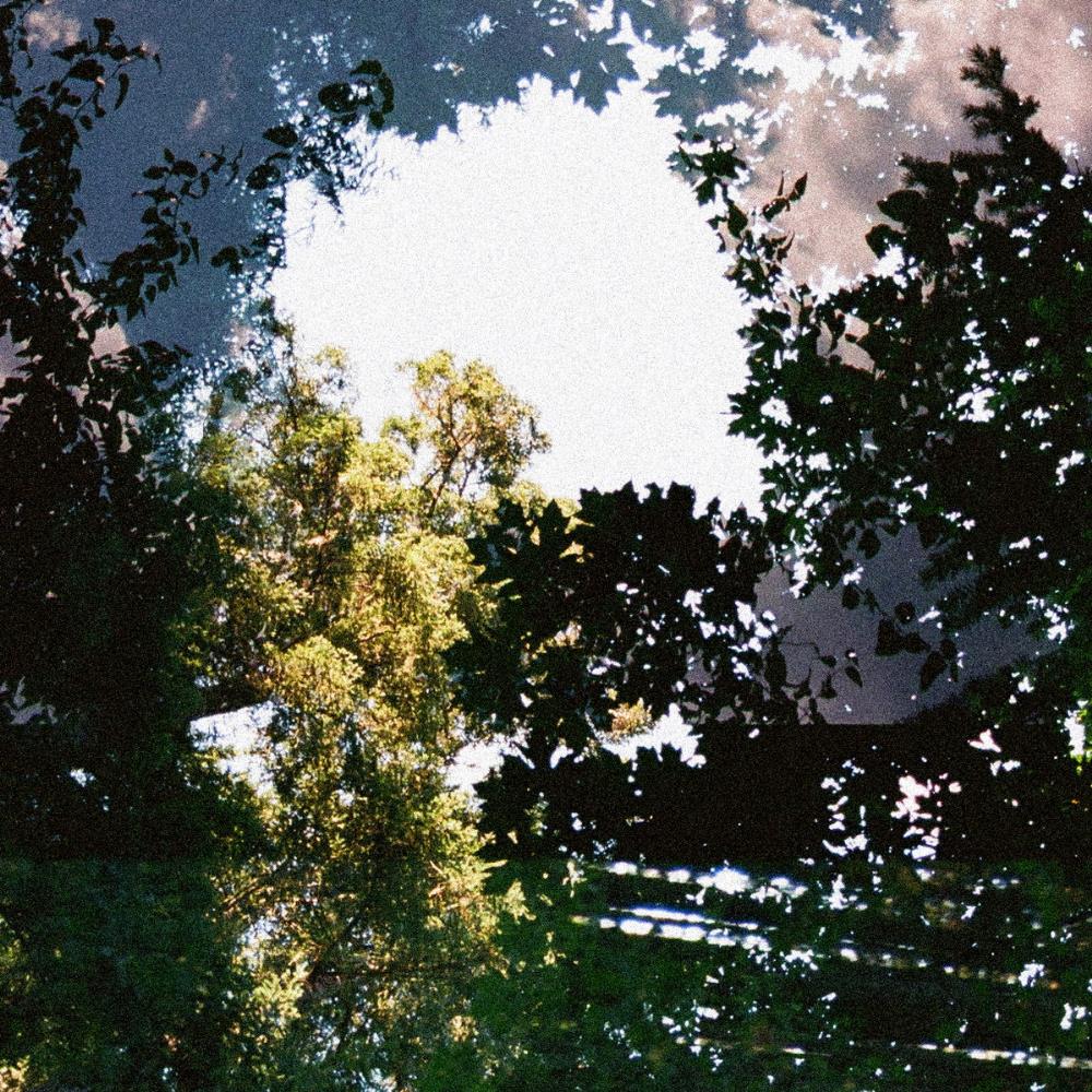 Lunar Grave Mirror of the Woods album cover