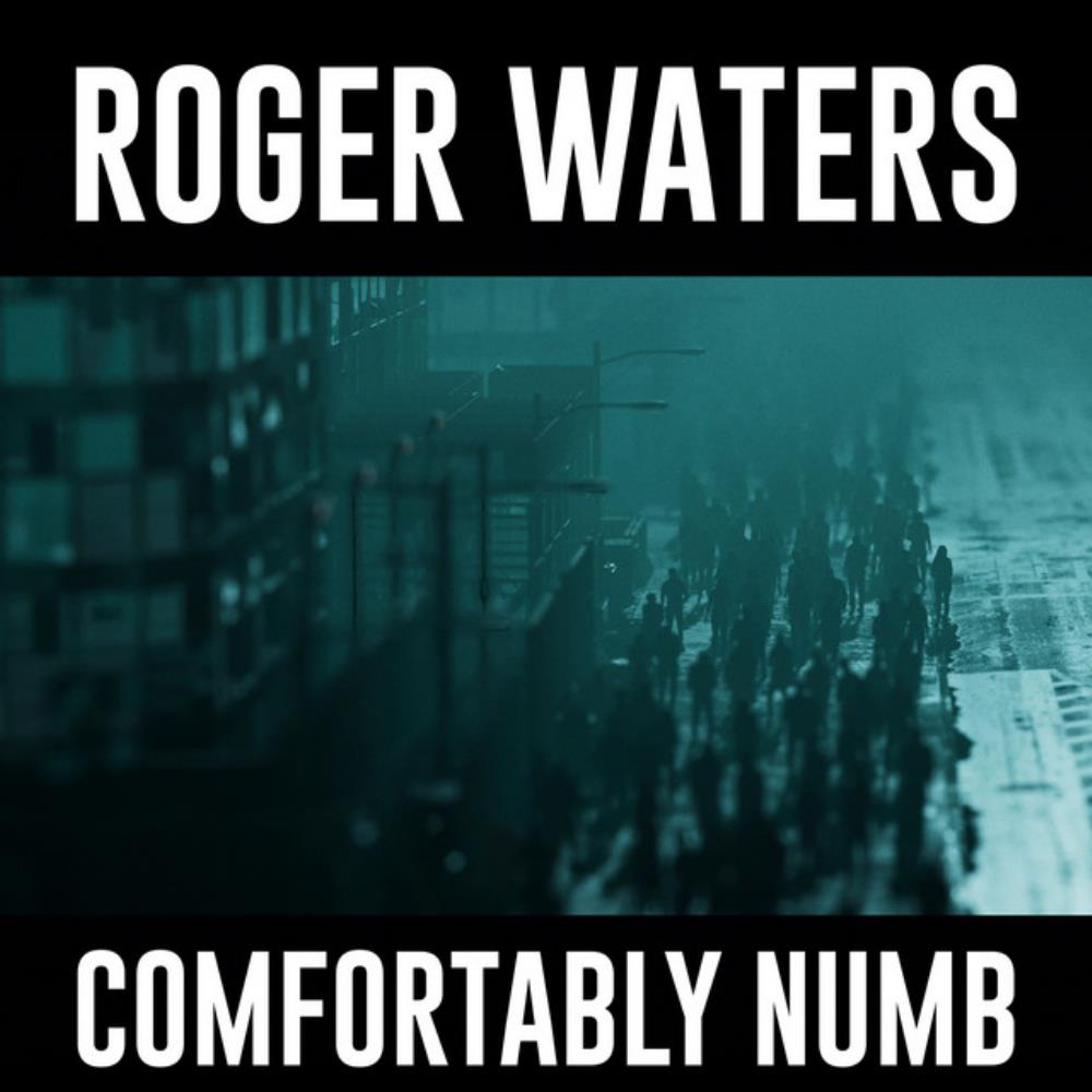 Roger Waters Comfortably Numb 2022 album cover