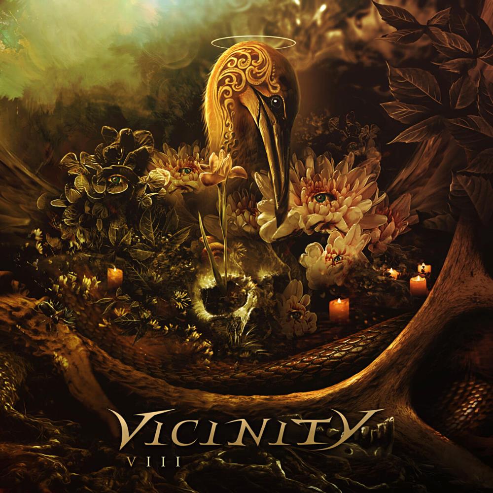Vicinity - VIII CD (album) cover