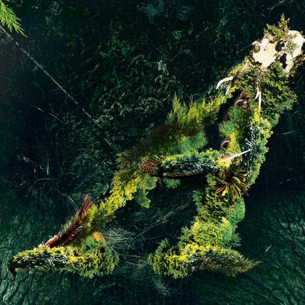 Valerinne - Arborescent CD (album) cover