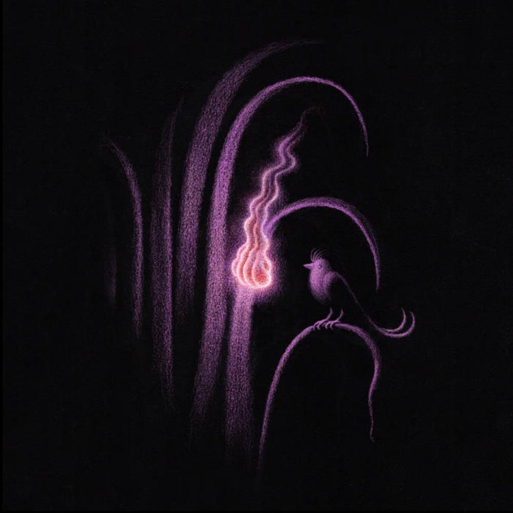 Delta Sleep Sunchaser album cover