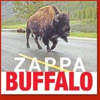 Frank Zappa Buffalo album cover