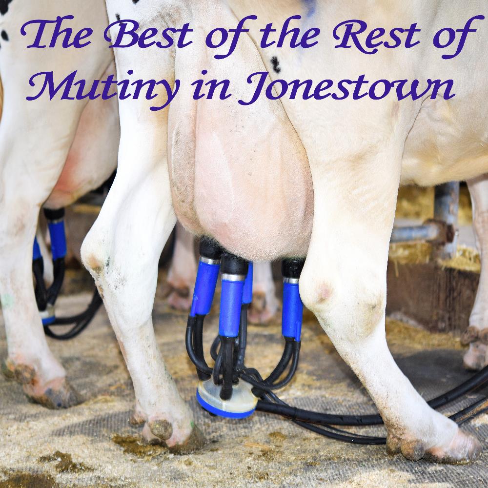 Mutiny In Jonestown - The Best of the Rest of Mutiny in Jonestown CD (album) cover