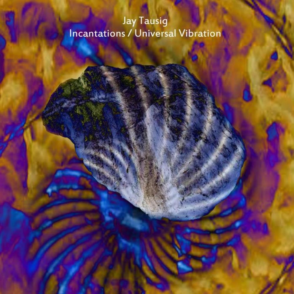 Jay Tausig Incantations / Universal Vibration album cover