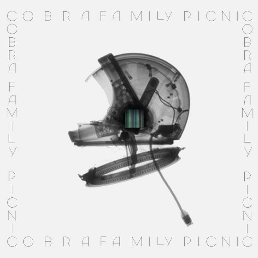 Cobra Family Picnic Music For Lava Lamps album cover