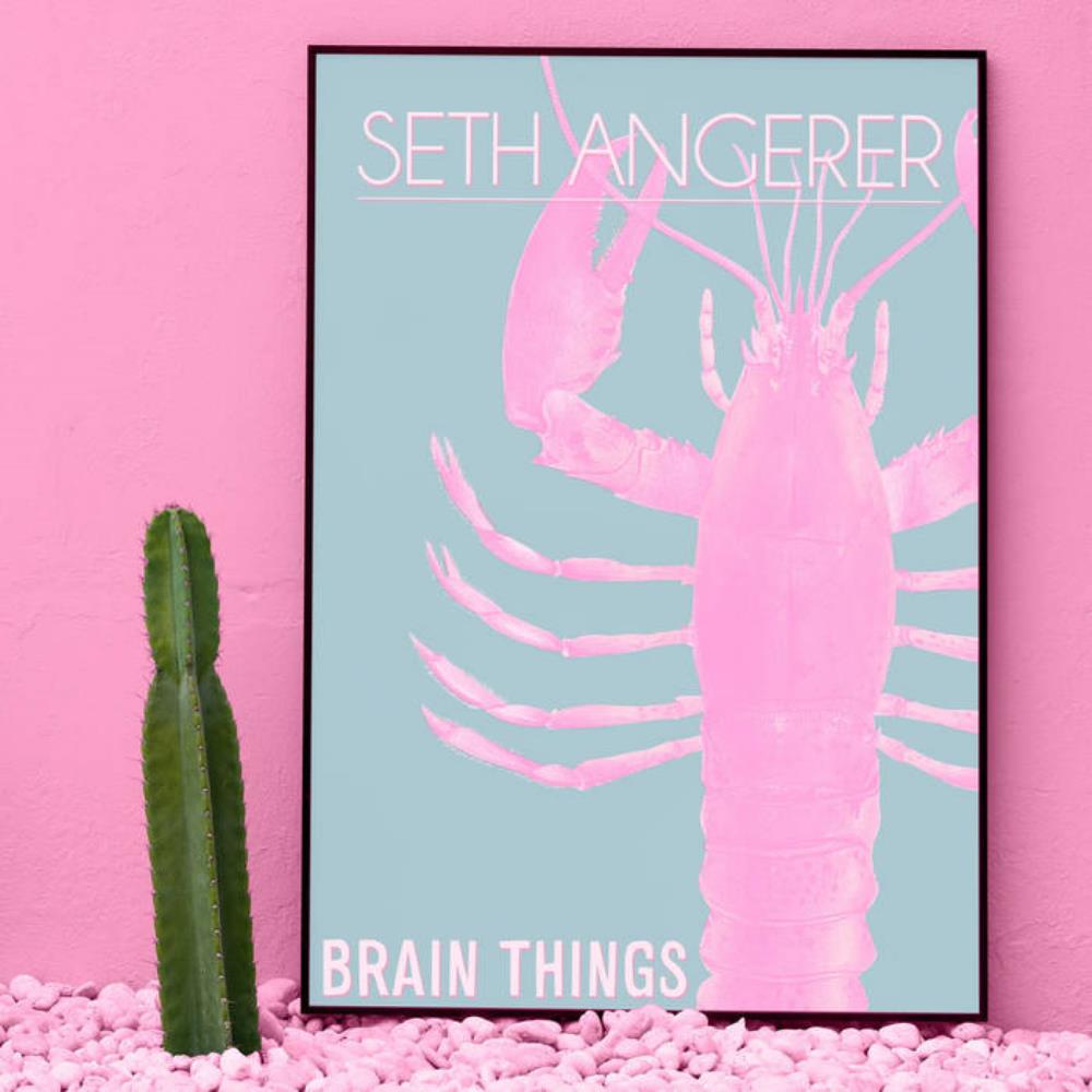 Seth Angerer Brain Things album cover