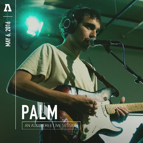 Palm Audiotree Live album cover