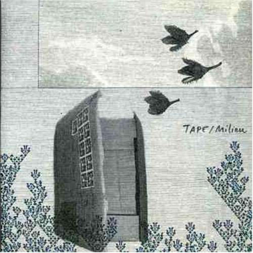 Tape Milieu album cover