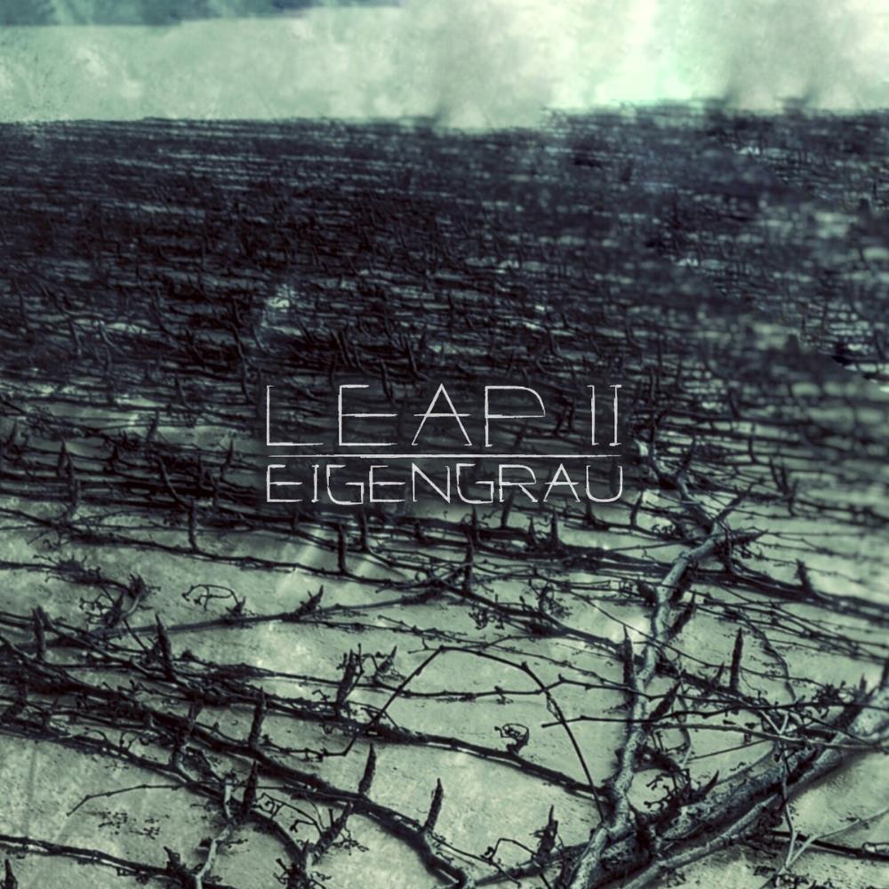 Eigengrau Leap II album cover