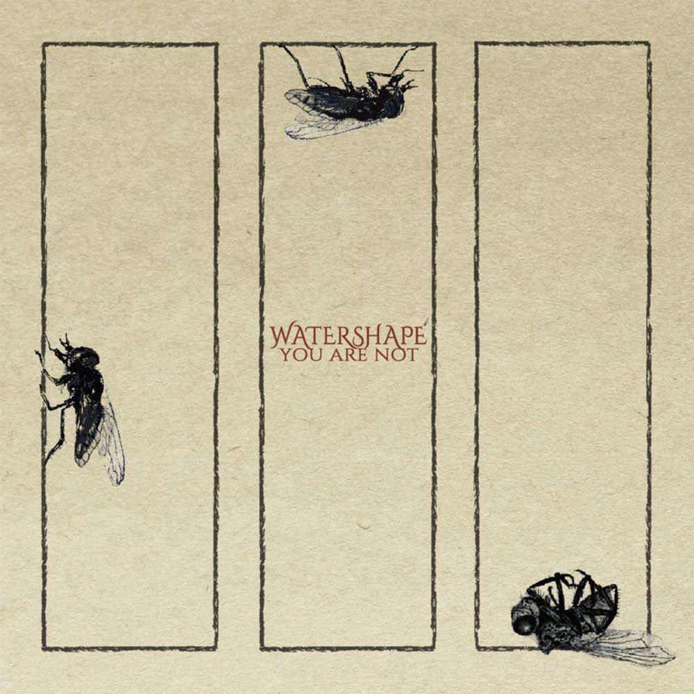  You Are Not by WATERSHAPE album cover