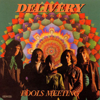 DeliveryFools Meeting album cover Delivery Fools Meeting album cover