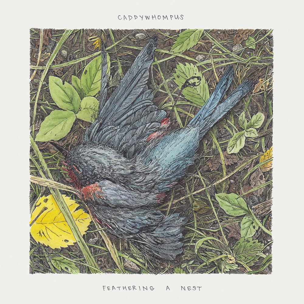 Caddywhompus Feathering A Nest album cover