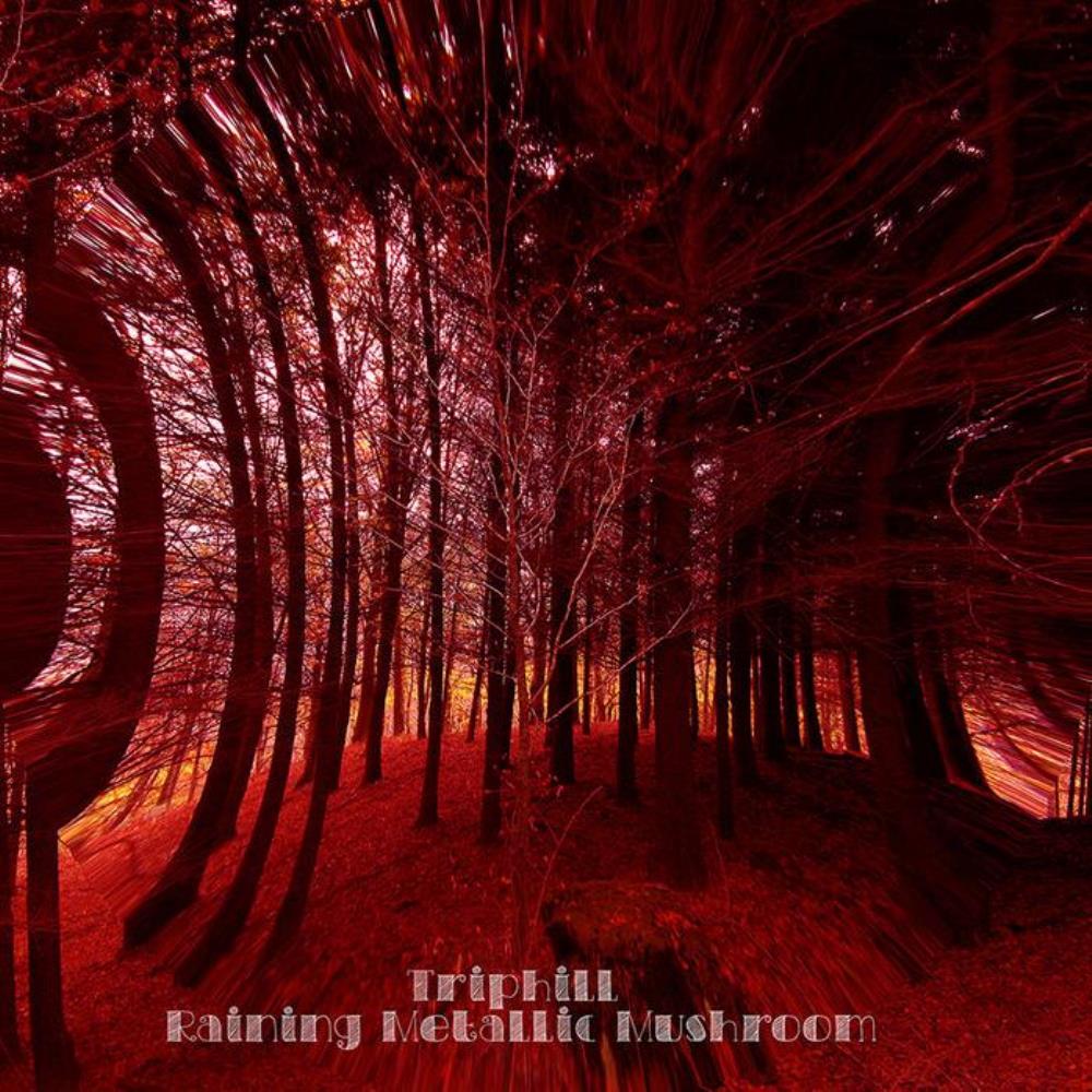 Trip Hill Raining Metallic Mushroom album cover