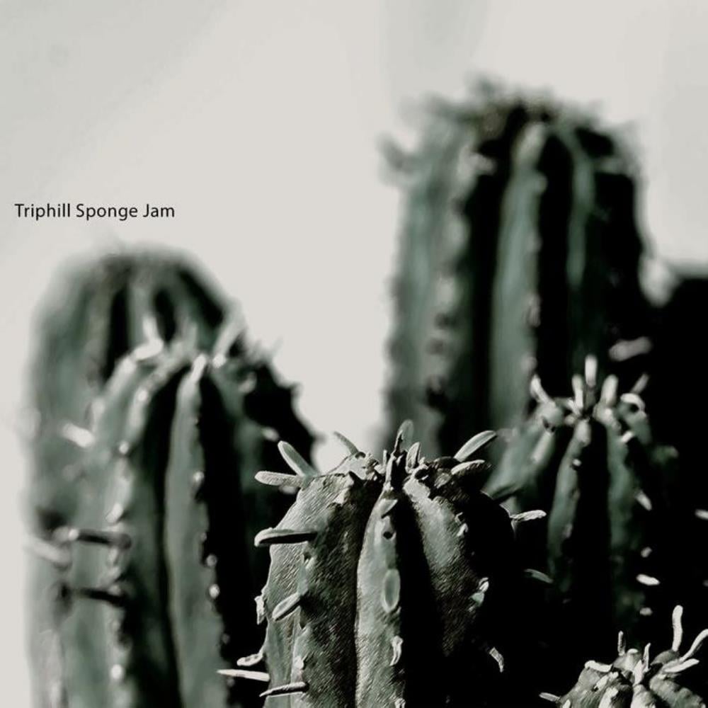 Trip Hill - Sponge Jam CD (album) cover