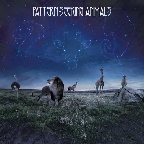  Pattern-Seeking Animals by PATTERN-SEEKING ANIMALS album cover
