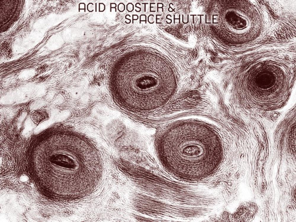 Acid Rooster Live at Desi album cover
