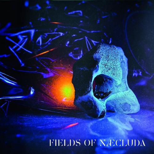 Fields Of Ncluda - Fields Of Ncluda CD (album) cover