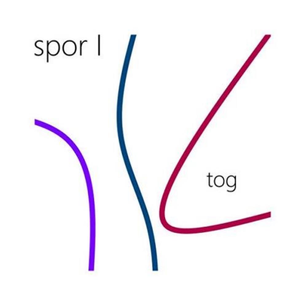 Tog Spor 1 album cover