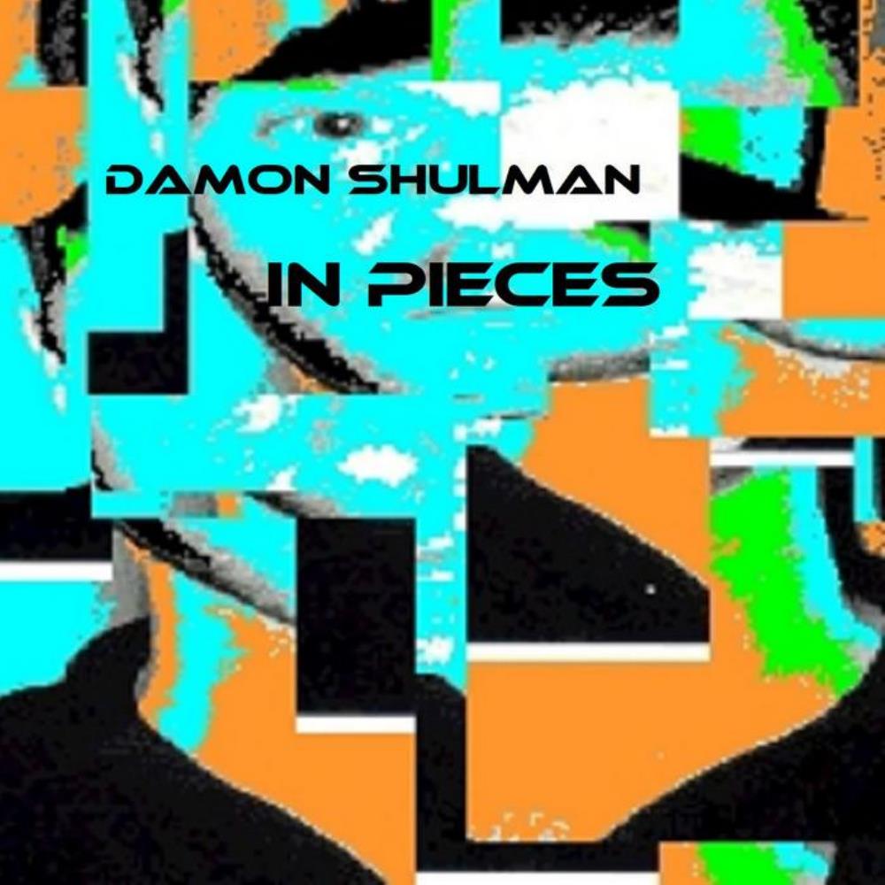 Damon Shulman In Pieces album cover