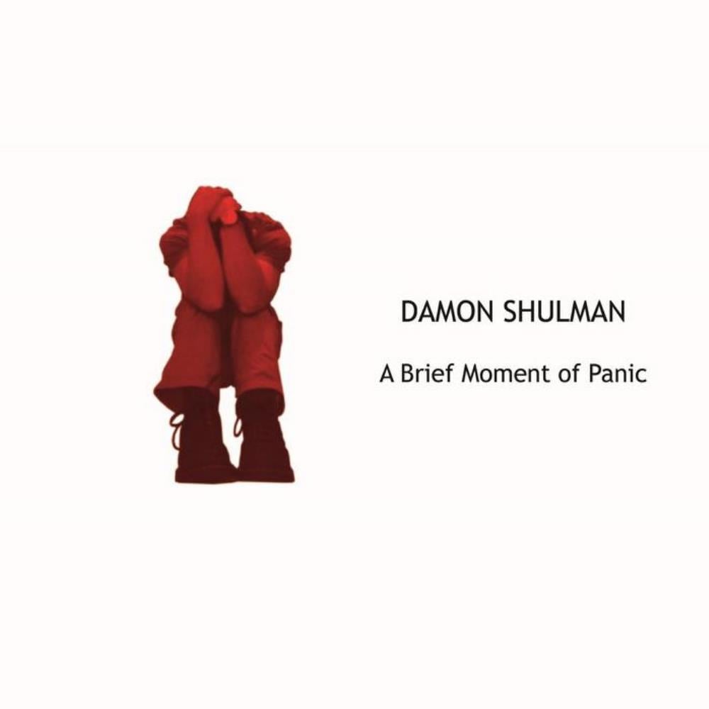 Damon Shulman A Brief Moment Of Panic album cover