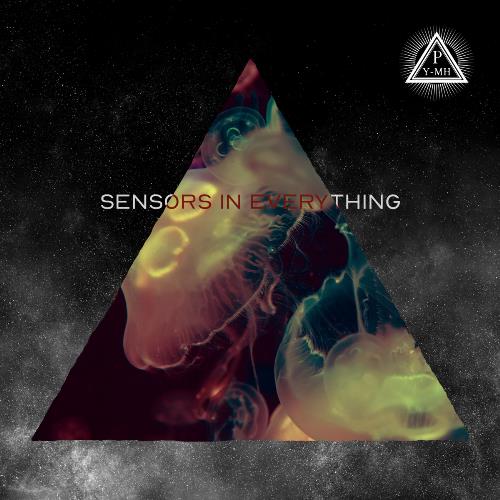 Poly-Math - Sensors in Everything CD (album) cover