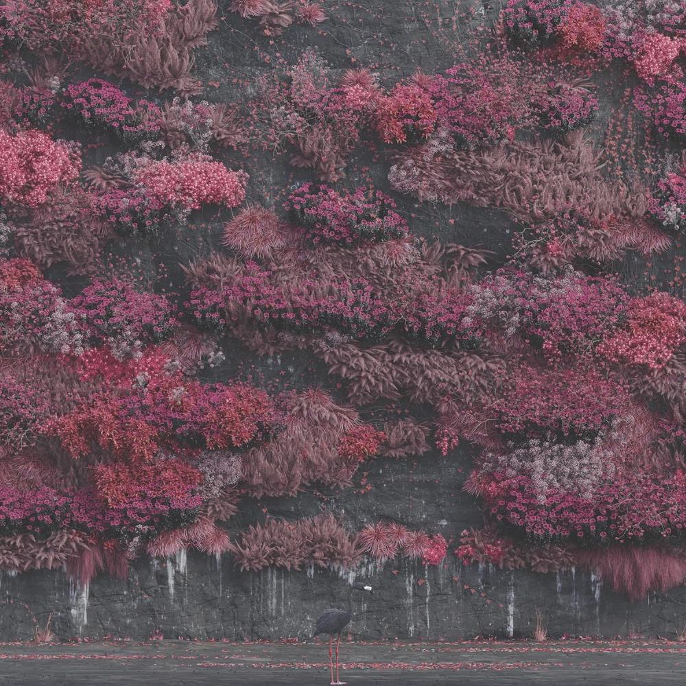 Sleep Token - Even in Arcadia CD (album) cover