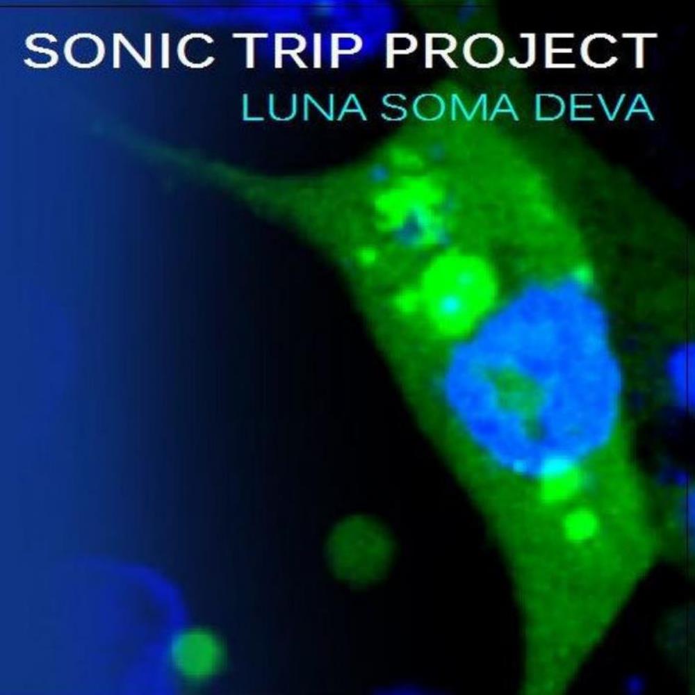 Sonic Trip Project LUNA SOMA DEVA album cover