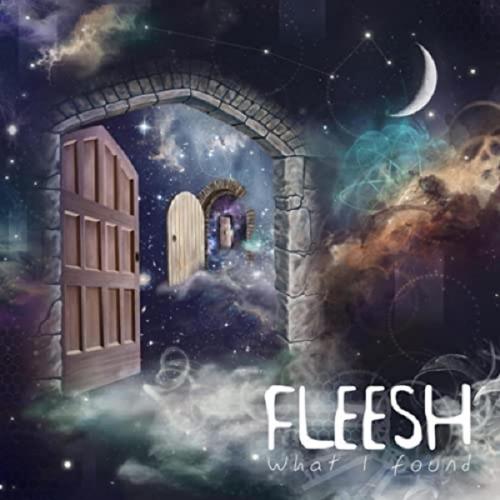 Fleesh What I Found album cover